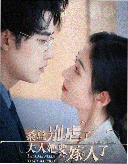 半城烟火 yy影视都市情感剧海报
